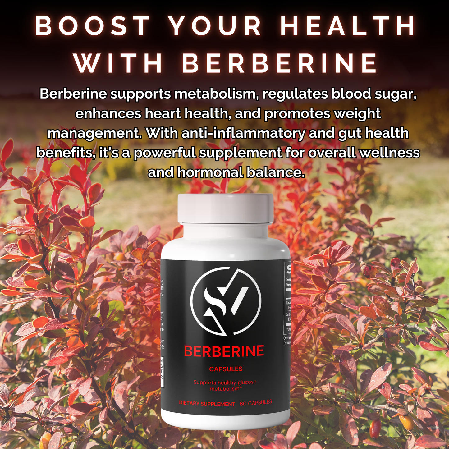 Berberine